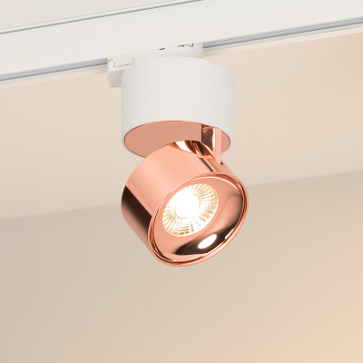 31a6bf6ff83043cebd6653a9b79daa24