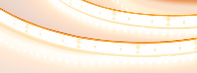 412f41039fa0cdb7ed9b42e38d38f67c